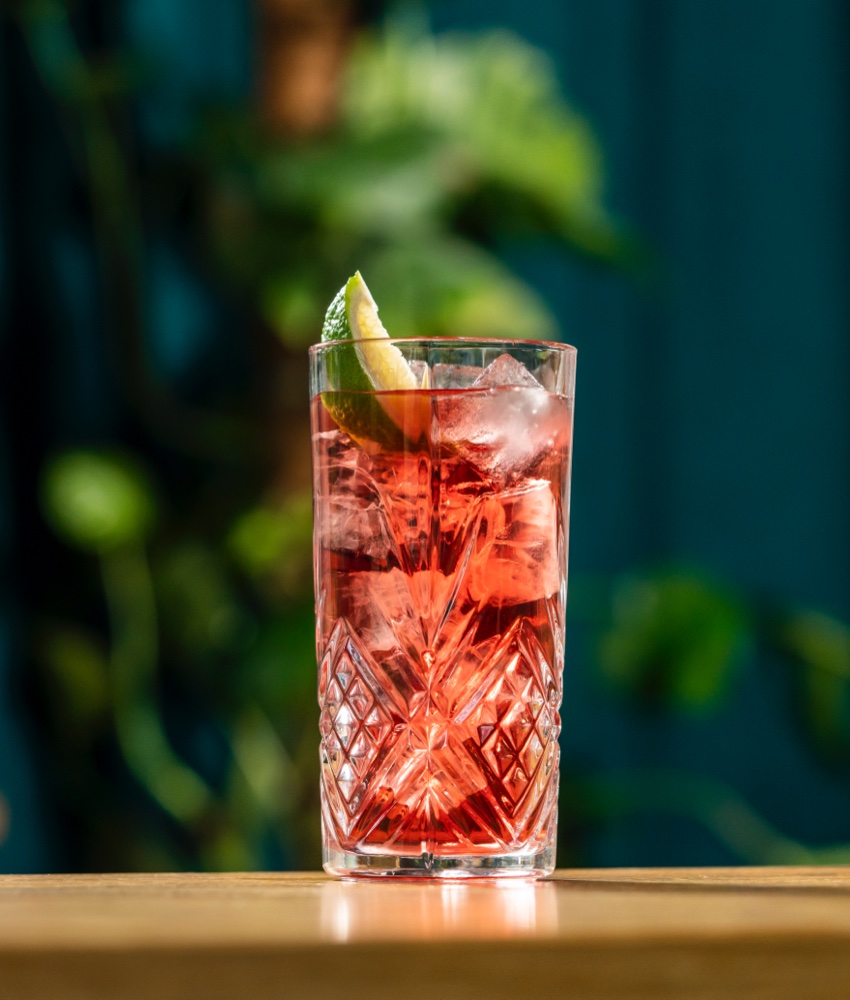 Cocktail recipes and how to mix Archers Schnapps